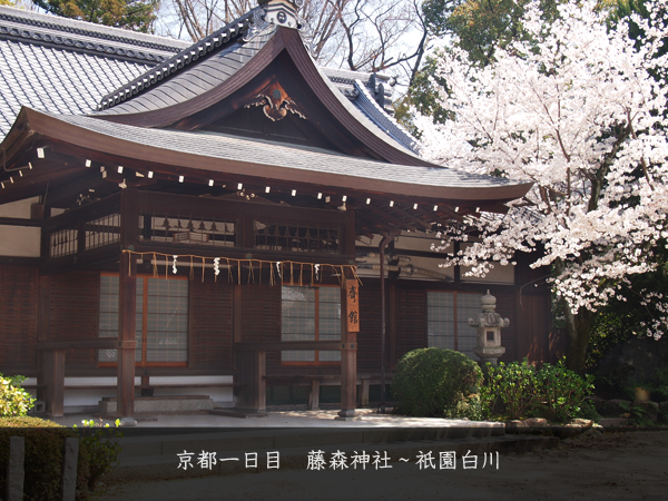 京都一日目 藤森神社～祇園白川