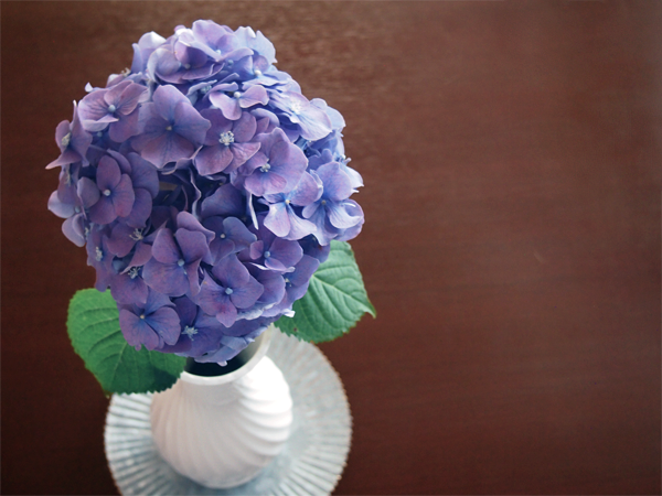 紫陽花と花瓶